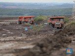 AS Hengkang, China Resmi Garap Hilirisasi Batu Bara RI