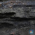 AS Kasih Harapan Baik, Harga Batu Bara & Minyak Menguat