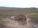 Harga Batu Bara RI Diubah, Royalti Terkerek Naik?
