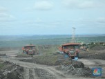 Gak Kira-kira, Harga Batu Bara Terbang 5,31% Pekan Ini