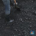 Harga Batu Bara Galau, 'Adu Kuat' Lawan Energi Terbarukan
