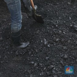 Harga Batu Bara Galau, 'Adu Kuat' Lawan Energi Terbarukan