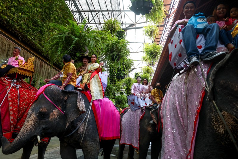 Pasangan menunggangi gajah dalam perayaan Hari Valentine, di Taman Tropis Nong Nooch di provinsi Chonburi, Thailand, 14 Februari 2023. Pasangan menunggangi gajah dalam perayaan Hari Valentine, di Taman Tropis Nong Nooch di provinsi Chonburi, Thailand, 14 Februari 2023. (REUTERS/Athit Perawongmetha)