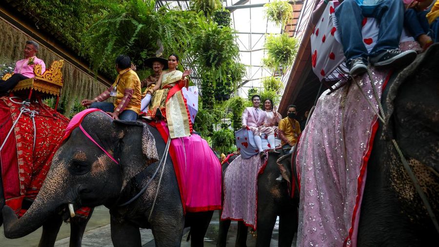 Pasangan menunggangi gajah dalam perayaan Hari Valentine, di Taman Tropis Nong Nooch di provinsi Chonburi, Thailand, 14 Februari 2023. (REUTERS/Athit Perawongmetha)