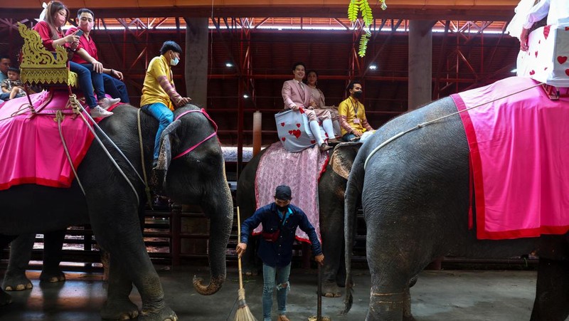 Pasangan menunggangi gajah dalam perayaan Hari Valentine, di Taman Tropis Nong Nooch di provinsi Chonburi, Thailand, 14 Februari 2023. (REUTERS/Athit Perawongmetha)