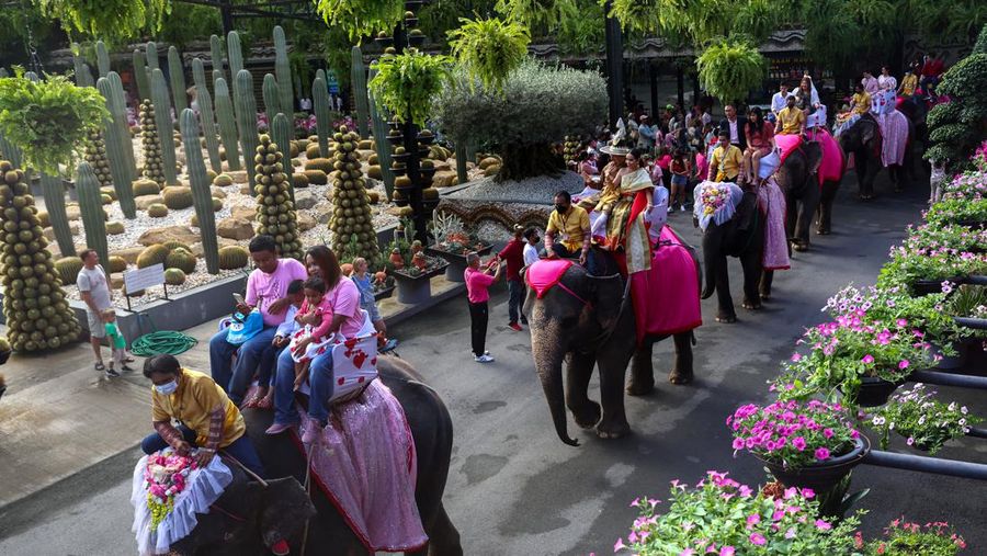 Pasangan menunggangi gajah dalam perayaan Hari Valentine, di Taman Tropis Nong Nooch di provinsi Chonburi, Thailand, 14 Februari 2023. (REUTERS/Athit Perawongmetha)