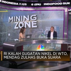 PR Indonesia Selamatkan Hilirisasi Nikel Lewat Banding di WTO