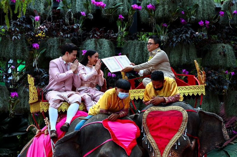 Pasangan menunggangi gajah dalam perayaan Hari Valentine, di Taman Tropis Nong Nooch di provinsi Chonburi, Thailand, 14 Februari 2023. Pasangan menunggangi gajah dalam perayaan Hari Valentine, di Taman Tropis Nong Nooch di provinsi Chonburi, Thailand, 14 Februari 2023. (REUTERS/Athit Perawongmetha)