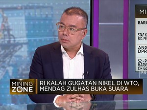 RI Kalah Gugatan di WTO, Nasib Hilirisasi Nikel RI Gimana?