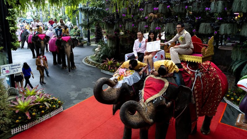 Pasangan menunggangi gajah dalam perayaan Hari Valentine, di Taman Tropis Nong Nooch di provinsi Chonburi, Thailand, 14 Februari 2023. (REUTERS/Athit Perawongmetha)