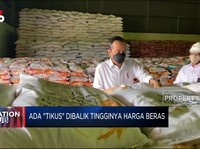 Video: Ada 