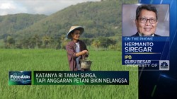 Derita Petani RI, Subsidi Dipangkas Hingga Harga Pupuk Naik