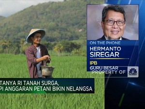 Derita Petani RI, Subsidi Dipangkas Hingga Harga Pupuk Naik