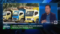 Ekspor CPO Susut di Awal Tahun, Efek Lonjakan DMO Sawit?