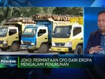 Ekspor CPO Susut di Awal Tahun, Efek Lonjakan DMO Sawit?
