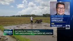 Katanya RI Tanah Surga Tapi Anggaran Petani Bikin Nelangsa