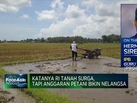 Katanya RI Tanah Surga Tapi Anggaran Petani Bikin Nelangsa