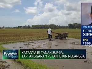 Katanya RI Tanah Surga Tapi Anggaran Petani Bikin Nelangsa