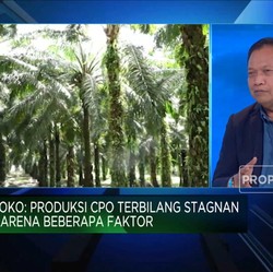 Tantangan Bisnis Sawit, Produksi Stagnan & Harga Melandai!