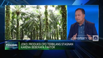 Tantangan Bisnis Sawit, Produksi Stagnan & Harga Melandai!