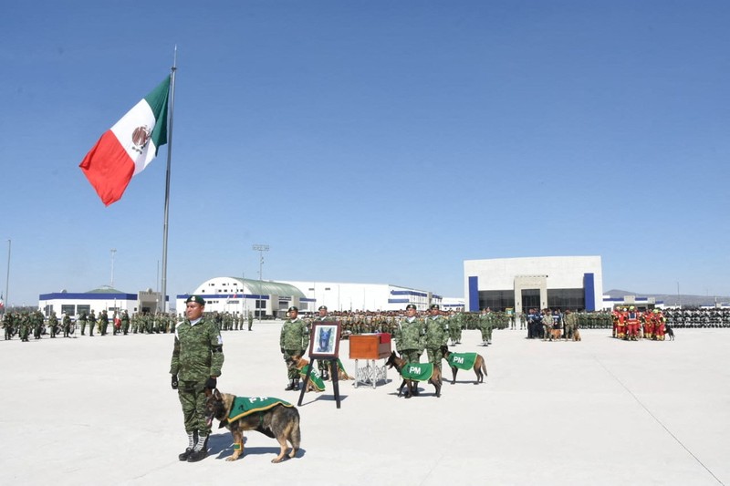 Anjing Meksiko Soldiers do an honor guard during the homage to rescue dog Proteo, who died during the rescue efforts in the town of Adiyaman, Turkey, at the Santa Lucia Air Force Base in Zumpango, Mexico, February 16, 2023. National Defense Secretary (SEDENA)/Handout via REUTERS THIS IMAGE HAS BEEN SUPPLIED BY A THIRD PARTY. NO RESALES. NO ARCHIVES
