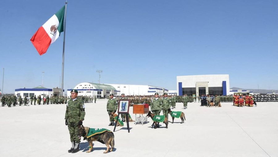 Soldiers do an honor guard during the homage to rescue dog Proteo, who died during the rescue efforts in the town of Adiyaman, Turkey, at the Santa Lucia Air Force Base in Zumpango, Mexico, February 16, 2023. National Defense Secretary (SEDENA)/Handout via REUTERS THIS IMAGE HAS BEEN SUPPLIED BY A THIRD PARTY. NO RESALES. NO ARCHIVES