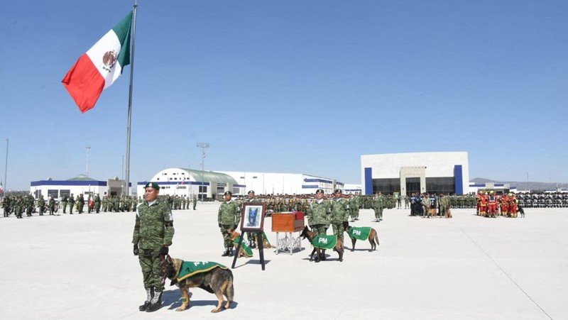 Soldiers do an honor guard during the homage to rescue dog Proteo, who died during the rescue efforts in the town of Adiyaman, Turkey, at the Santa Lucia Air Force Base in Zumpango, Mexico, February 16, 2023. National Defense Secretary (SEDENA)/Handout via REUTERS THIS IMAGE HAS BEEN SUPPLIED BY A THIRD PARTY. NO RESALES. NO ARCHIVES