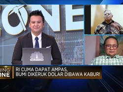 RI Cuma Dapat Ampas! Bumi Dikeruk Tapi Dolar Dibawa Kabur