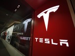 Tesla Malah Masuk Malaysia, Luhut Masih Percaya Elon Musk?