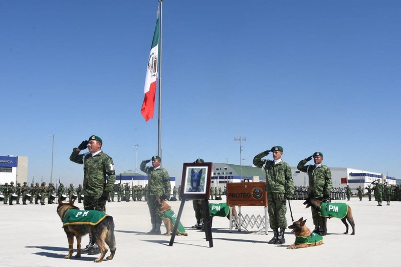 Anjing Meksiko Soldiers do an honor guard during the homage to rescue dog Proteo, who died during the rescue efforts in the town of Adiyaman, Turkey, at the Santa Lucia Air Force Base in Zumpango, Mexico, February 16, 2023. National Defense Secretary (SEDENA)/Handout via REUTERS THIS IMAGE HAS BEEN SUPPLIED BY A THIRD PARTY. NO RESALES. NO ARCHIVES
