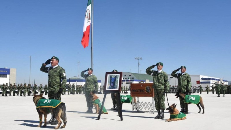 Soldiers do an honor guard during the homage to rescue dog Proteo, who died during the rescue efforts in the town of Adiyaman, Turkey, at the Santa Lucia Air Force Base in Zumpango, Mexico, February 16, 2023. National Defense Secretary (SEDENA)/Handout via REUTERS THIS IMAGE HAS BEEN SUPPLIED BY A THIRD PARTY. NO RESALES. NO ARCHIVES