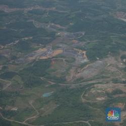 Kronologi Pengerebekan Tambang Emas Ilegal WNA China di Kalimantan