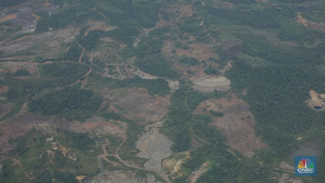 Diperintah Prabowo, Ramai-Ramai Turun Gunung Berantas Tambang Ilegal