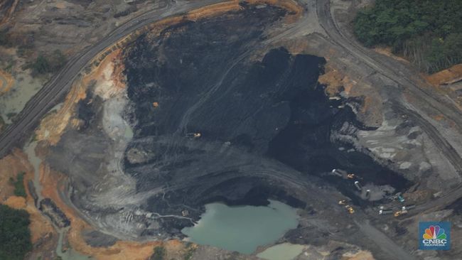 Ada Tambang Emas Ilegal di Pegunungan Arfak, Begini Siasat ESDM