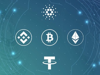 Tumben Harga Kripto Kompak Naik, Ada Apa?