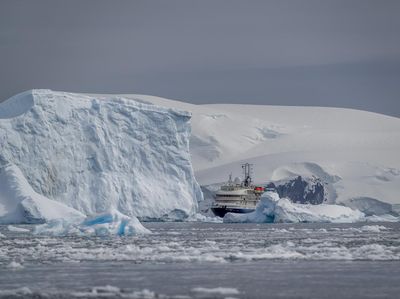 Peneliti Temukan Dunia Lain di Tempat Tak Pernah Dijangkau Manusia