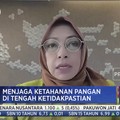 Alih Lahan Hingga Petani Menua Jadi Tantangan Pangan RI