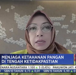 Alih Lahan Hingga Petani Menua Jadi Tantangan Pangan RI