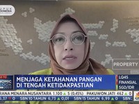 Alih Lahan Hingga Petani Menua Jadi Tantangan Pangan RI