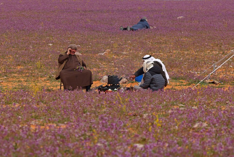 Seorang warga mengambil foto bukit yang menghijau setelah hujan deras di Mekkah, Arab Saudi pada 16 Januari 2023. Seorang warga mengambil foto bukit yang menghijau setelah hujan deras di Mekkah, Arab Saudi pada 16 Januari 2023. (Photo by Hani Alshaer/Anadolu Agency via Getty Images)