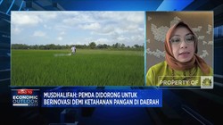 Punya Alternatif, Jokowi Ajak Rakyat Tak Bergantung Beras
