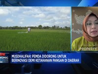 Punya Alternatif, Jokowi Ajak Rakyat Tak Bergantung Beras