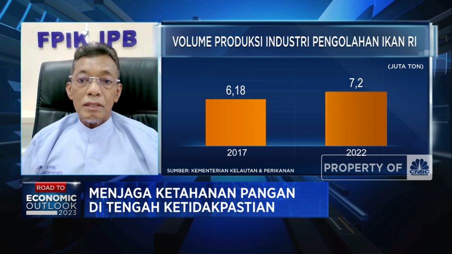 KKP & Kunci Sukses RI Genjot Budidaya Ikan dan Udang Cs (CNBC Indonesia TV)
