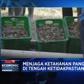 Bukan Cuma Tuna Cs, Ini Produk Perikanan Andalan Baru RI
