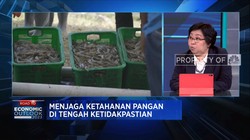 Bukan Cuma Tuna Cs, Ini Produk Perikanan Andalan Baru RI
