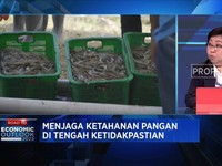 Bukan Cuma Tuna Cs, Ini Produk Perikanan Andalan Baru RI
