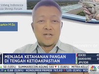 Ekspor Udang Indonesia Terhalang Ekuador, Kok Bisa?