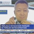 Agar Udang Lokal Tembus Global, Pengusaha Butuh Insentif Ini