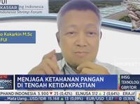 Agar Udang Lokal Tembus Global, Pengusaha Butuh Insentif Ini