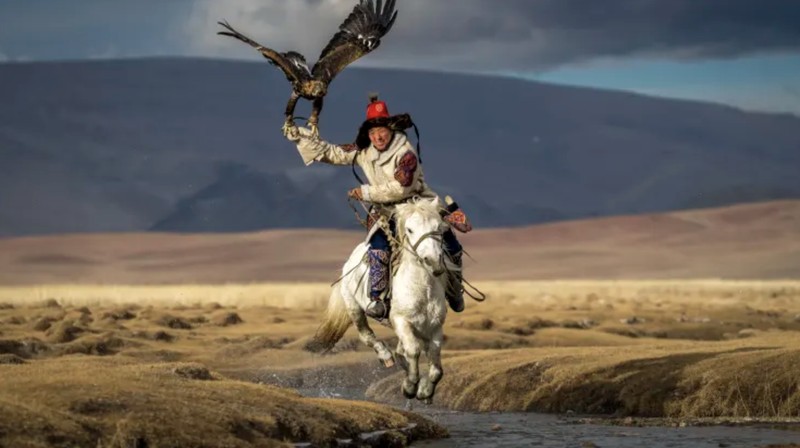 Elang botak di Chilkat Bald Eagle Preserve Alaska bersaing untuk hinggap di batang pohon. (Dok: Karthik Subramaniam) Elang botak di Chilkat Bald Eagle Preserve Alaska bersaing untuk hinggap di batang pohon. (Dok: Karthik Subramaniam)